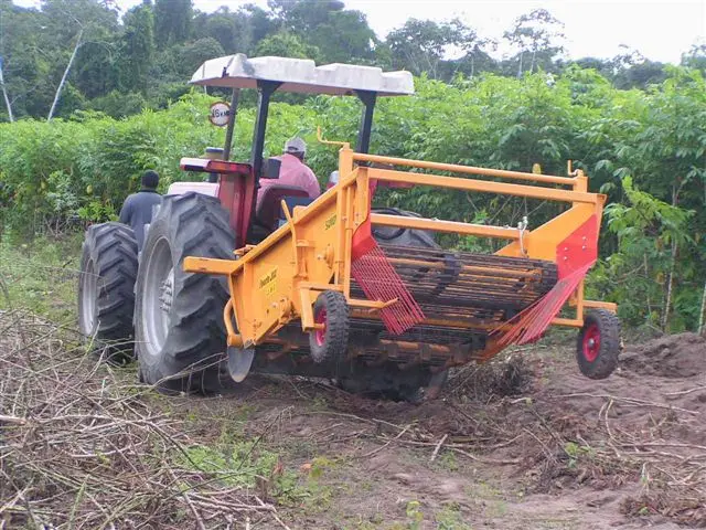 Suriname 028.webp