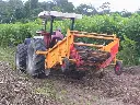 Suriname 028.webp
