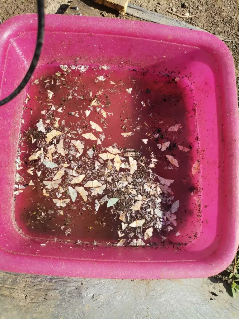 NOT TUTA_2024-07-12_09-40-41-619.webp