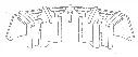 FlexibleArch.webp