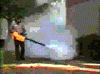 movie1.gif