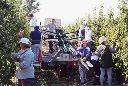 collidores_04.sized.webp