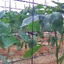 57071.jpg.webp
