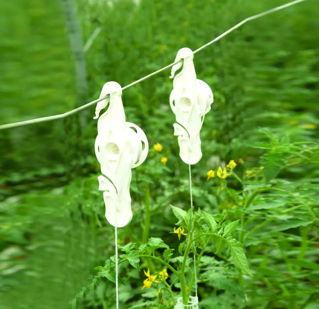 rolerplast_white.webp