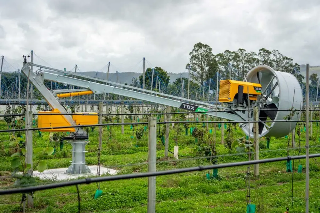 tow and blow s 1000 DSC08907-1024x683.webp