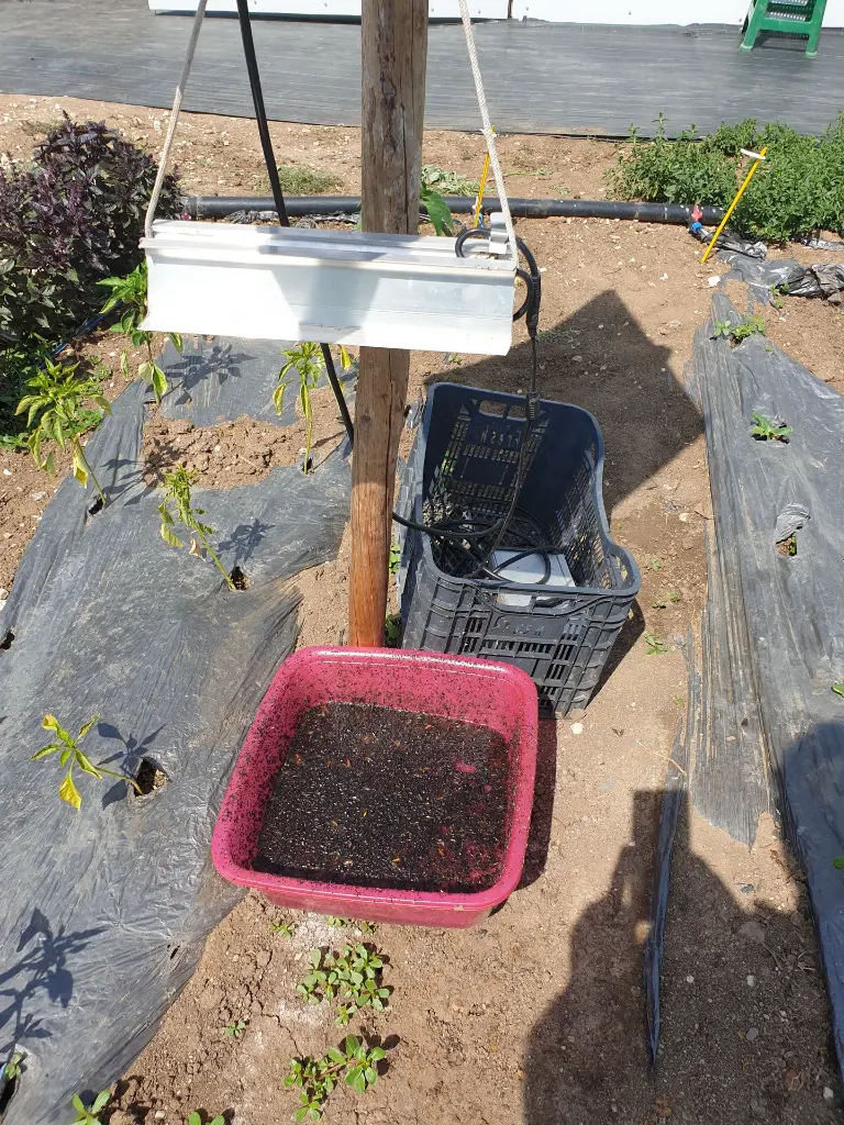 FIELD TUTAMOR 20240701_105137.webp