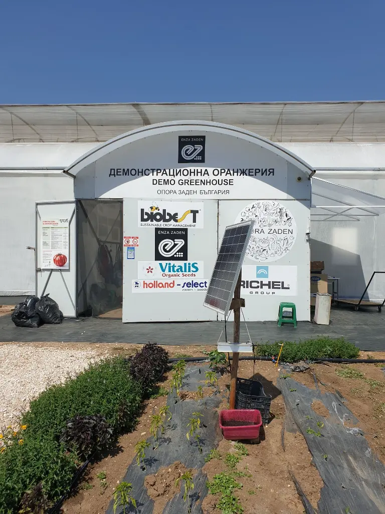 FIELD TUTAMOR 20240701_105125.webp