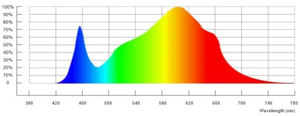 light01.webp