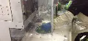 storage broccoli 2.webp
