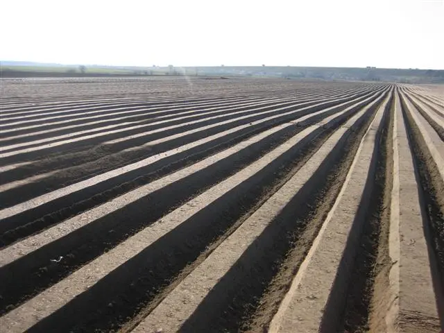 IMG_8995 (Small).webp