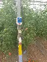 20230711_085507.webp