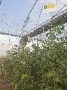 20230711_085516.webp