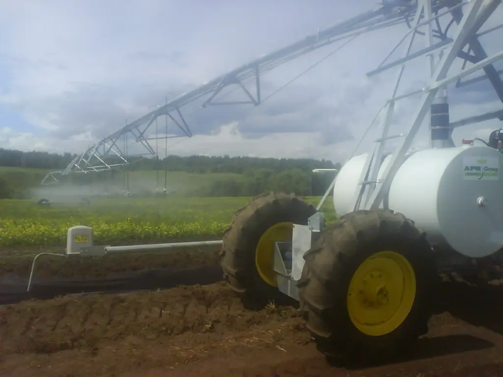 Babunov Farm (1).webp