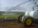 Babunov Farm (1).webp