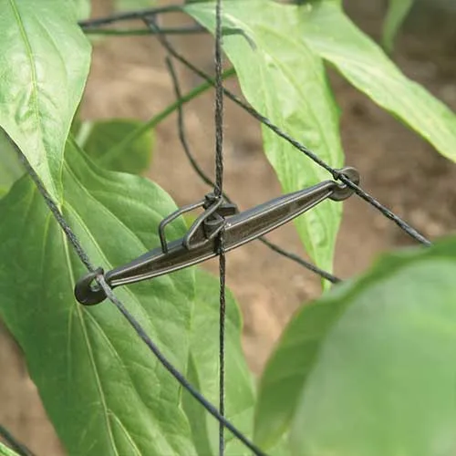 Опори за пипер размери (6/7.5см) (9см)