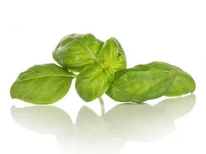 [Семена] Босилек /Ocimum basilicum/