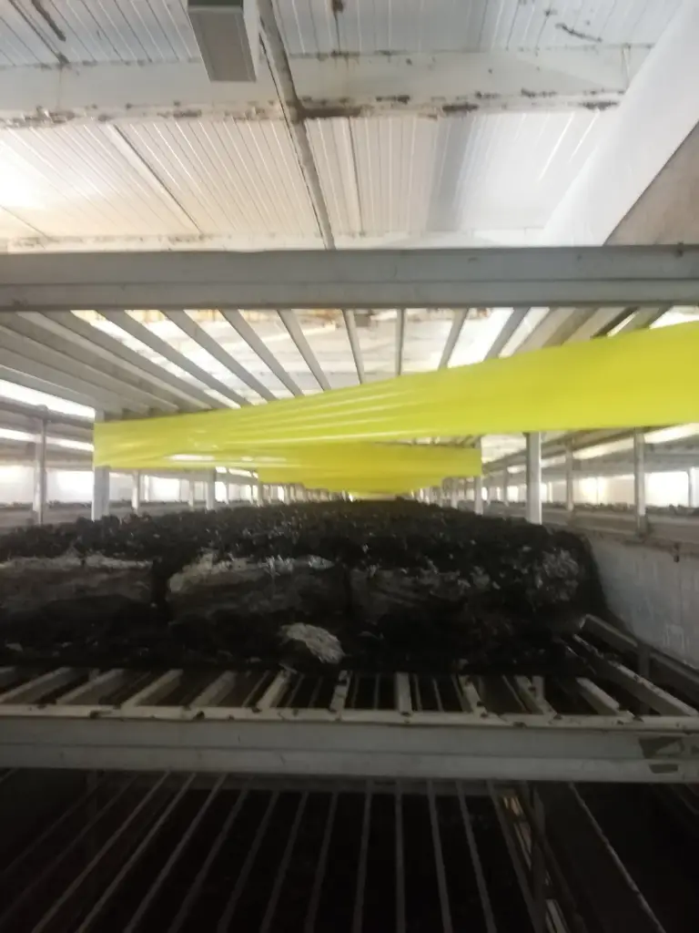 Лепнещи ролки (10 см х 100 м)