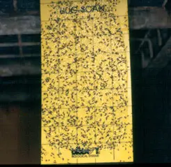 Лепнещи плоскости (25 x 40 cm)