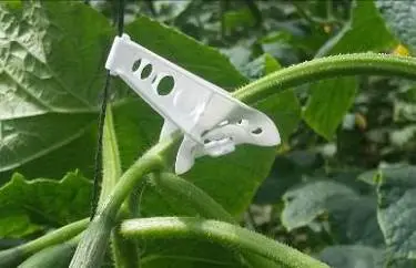скорпион кука за култуци към сезала
