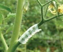 Опори за Китки, арковидни 6мм